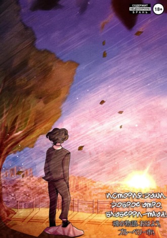 Обложка книги «История души. Доброе утро, Блуберри-таун!»