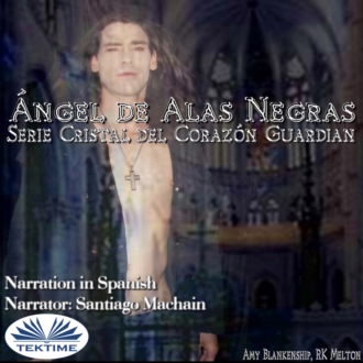 Обложка книги «Ángel De Alas Negras»
