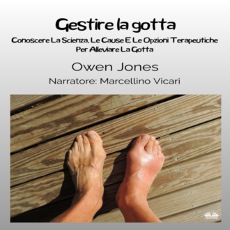 Обложка книги «Gestire La Gotta»
