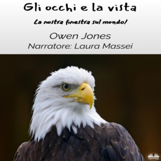 Обложка книги «Gli Occhi E La Vista»