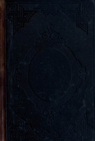 Обложка книги «ms tercümesi»