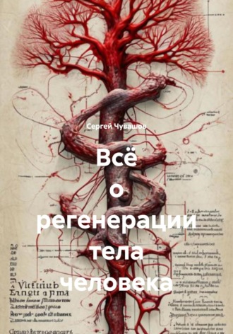 Сергей Юрьевич Чувашов. Всё о регенерации тела человека