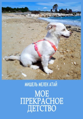 Обложка книги «Мое прекрасное детство»