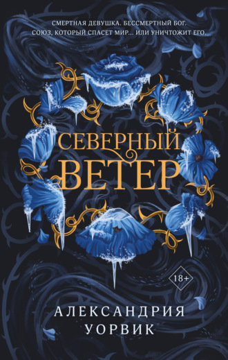 Обложка книги «Северный ветер»