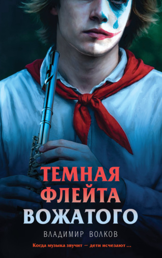 Обложка книги «Темная флейта вожатого»