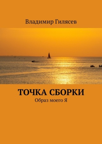 Обложка книги «Точка сборки. Образ моего Я»