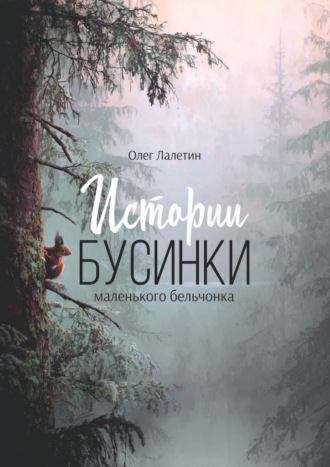 Обложка книги «Истории Бусинки. Маленького бельчонка»
