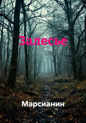 Марсианин. Залесье