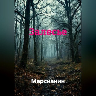 Обложка книги «Залесье»