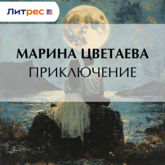 Обложка книги «Приключение»