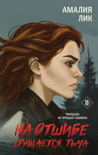 Обложка книги «На отшибе сгущается тьма»