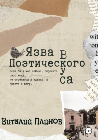 Обложка книги «Язва поэтического вкуса»