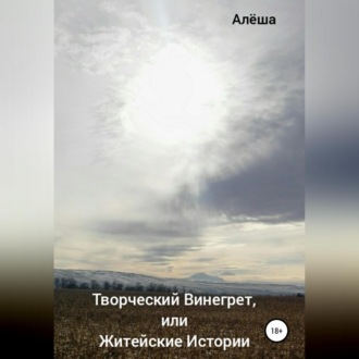 Обложка книги «Творческий винегрет, или Житейские истории»