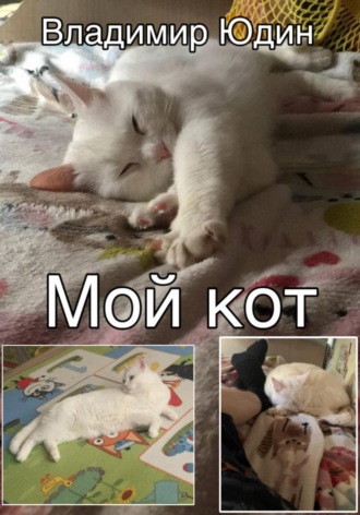 Владимир Сергеевич Юдин. Мой кот