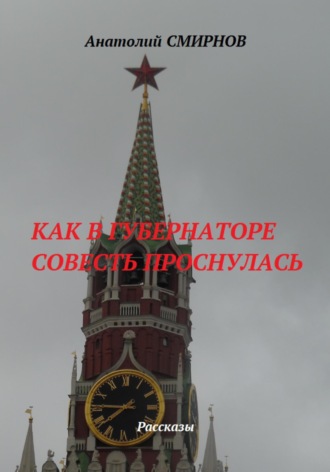 Обложка книги «Как в губернаторе совесть проснулась»