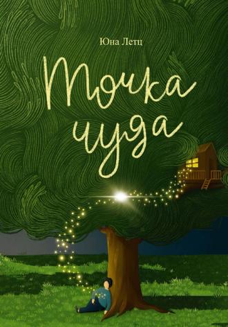 Обложка книги «Точка чуда»