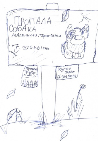 Обложка книги «Пропала собака…»