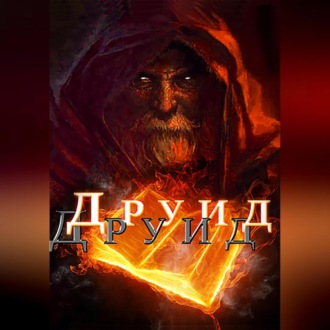 Обложка книги «Друид»