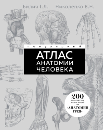Обложка книги «Популярный атлас анатомии человека. 200 классических иллюстраций из «Анатомии Грея»»