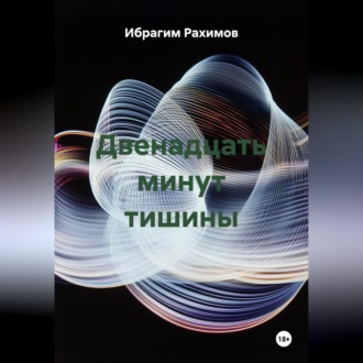 Обложка книги «Двенадцать минут тишины»