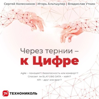Обложка книги «Через тернии – к Цифре»
