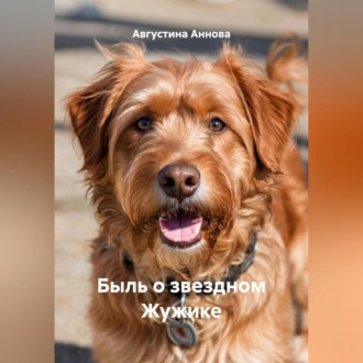 Обложка книги «Быль о звездном Жужике»