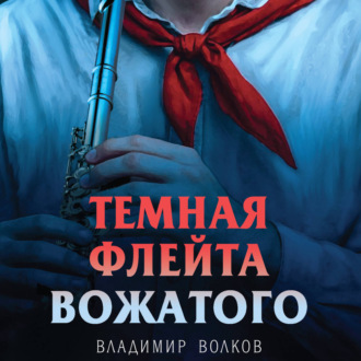 Обложка книги «Темная флейта вожатого»