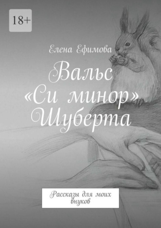Обложка книги «Вальс «Си минор» Шуберта. Рассказы для моих внуков»