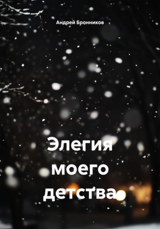 Андрей Эдуардович Бронников. Элегия моего детства