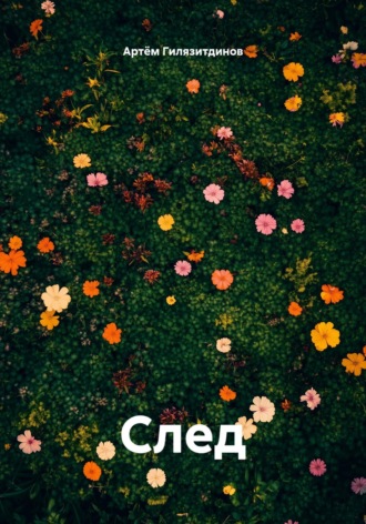 Обложка книги «След»