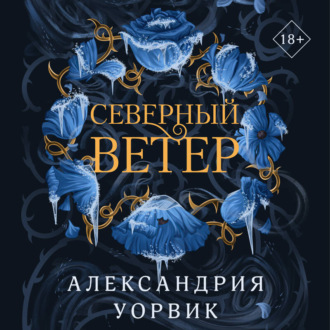 Обложка книги «Северный ветер»