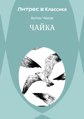 Обложка книги «Чайка»
