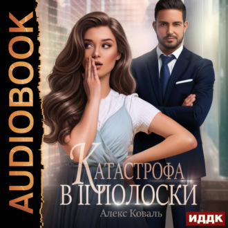 Обложка книги «Катастрофа в две полоски»