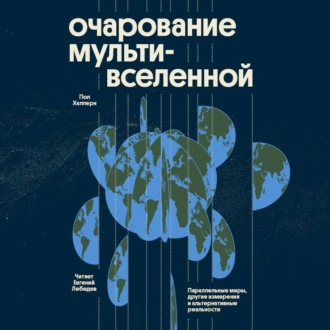 Обложка книги «Очарование мультивселенной. Параллельные миры, другие измерения и альтернативные реальности»