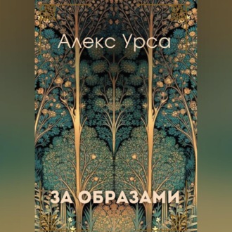 Обложка книги «За образами»