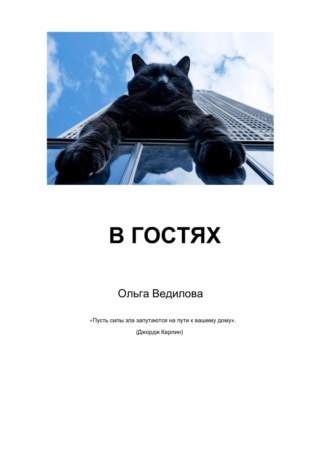 Обложка книги «В гостях»