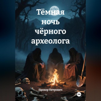 Обложка книги «Тёмная ночь чёрного археолога»