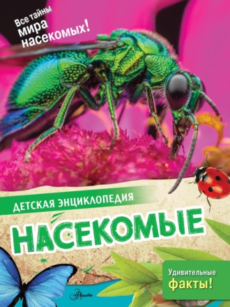 Обложка книги «Насекомые»