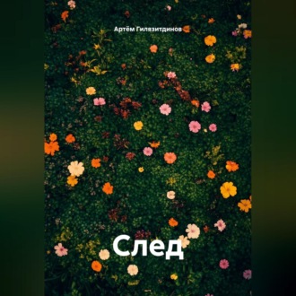 Обложка книги «След»