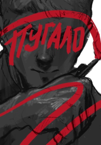 Обложка книги «Пугало»