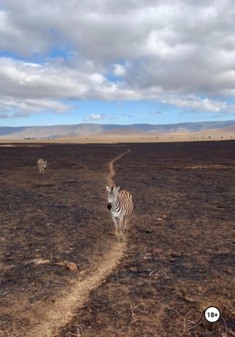 Алексей Александрович Небыков. Ворары