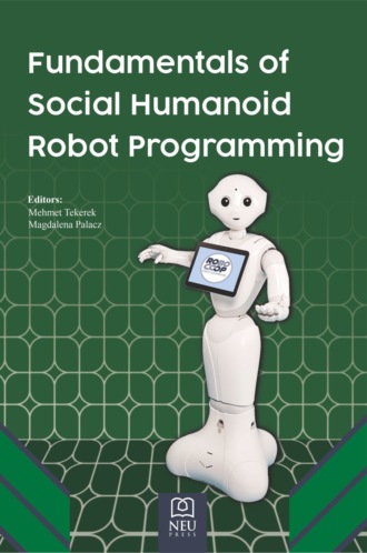 Обложка книги «FUNDAMENTALS OF SOCIAL HUMANOID ROBOT PROGRAMMING»