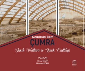 Обложка книги «ÇATALHÖYÜK KENTİ ÇUMRA MUTFAK KÜLTÜRÜ VE YEMEK ÇEŞİTLİLİĞİ»