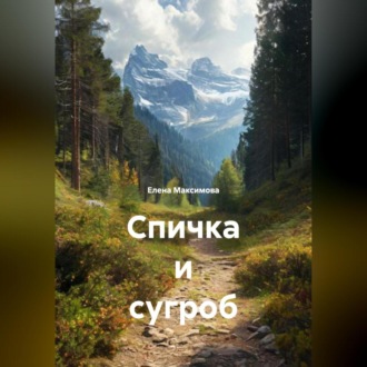 Обложка книги «Спичка и сугроб»