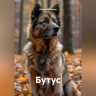 Обложка книги «Бутус»