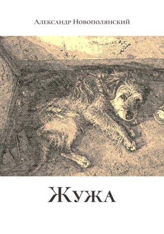 Обложка книги «Жужа»