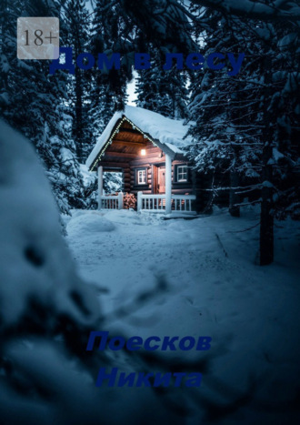 Обложка книги «Дом в лесу»