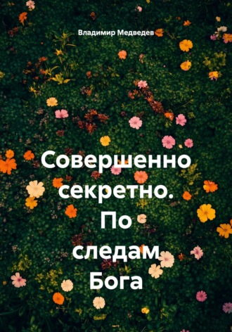 Владимир Медведев. Совершенно секретно. По следам Бога