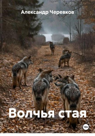 Обложка книги «Волчья стая»