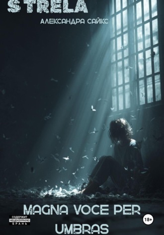 Обложка книги «Magna voce per umbras»